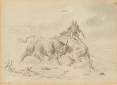 Appraisal: Attributed to Auguste Boulard French - Bulls Fighting in the