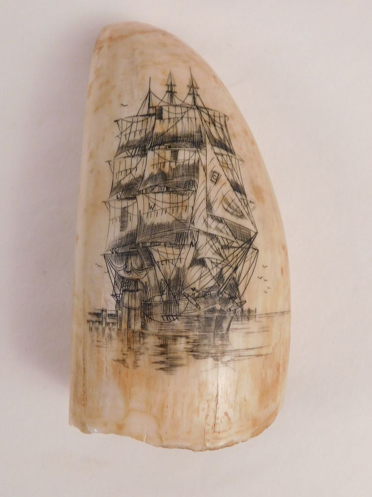 Appraisal: WHALE TOOTH - SHIP SCRIMSHAW Whale tooth with scrimshaw scene