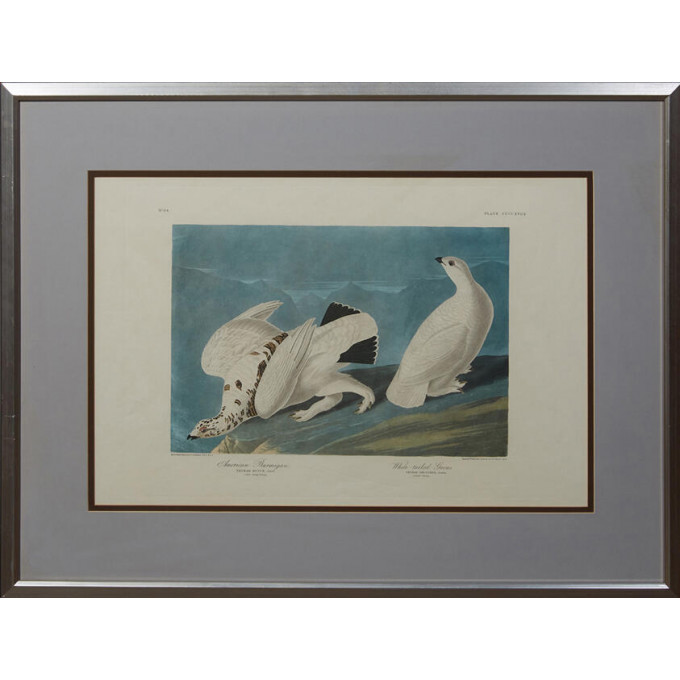 Appraisal: John James Audubon - American Ptarmigan and White Tailed Grous