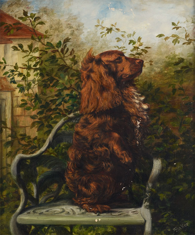 Appraisal: SPANIEL PAINTING SIGNED A BAKER Oil Canvas '' x ''