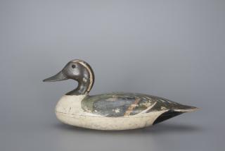 Appraisal: Pintail Drake Pintail Drake Lake Villa IL c in long