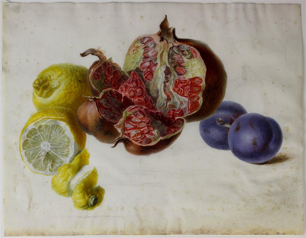 Appraisal: TH CENTURY STUDY OF FRUIT LEMON POMEGRANATE AND PLUMS Mixed