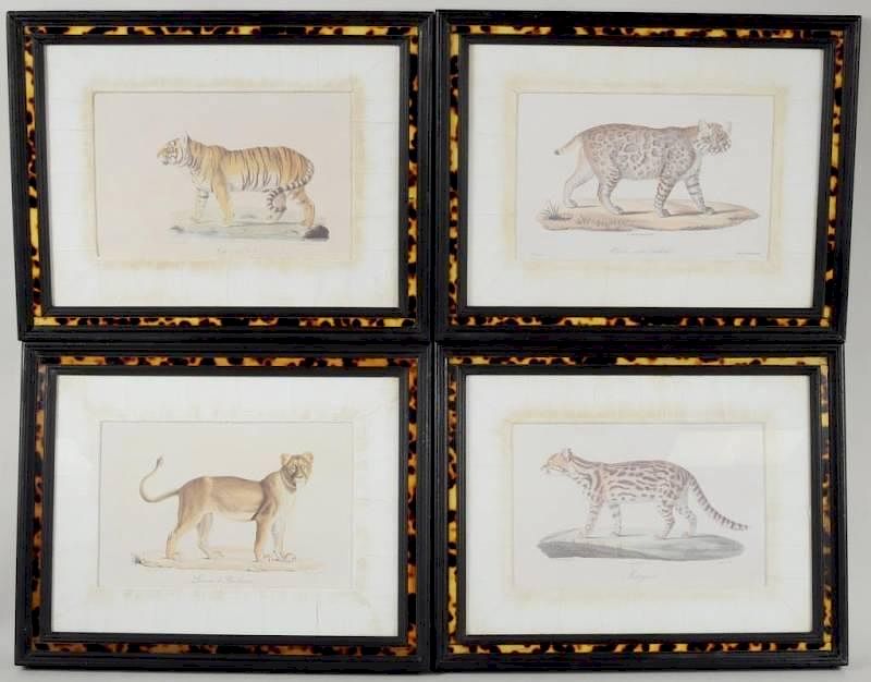 Appraisal: Group of Four Decorative Exotic Cat Prints Group of four