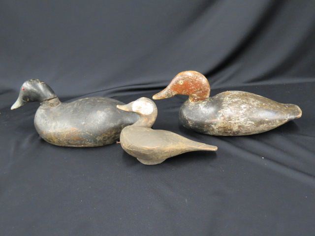 Appraisal: Carved Wooden Duck Decoys have glass eyes