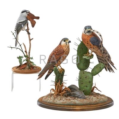 Appraisal: CONTEMPORARY FOLK ART CARVED BIRD SCULPTURES Two by Al Riehl