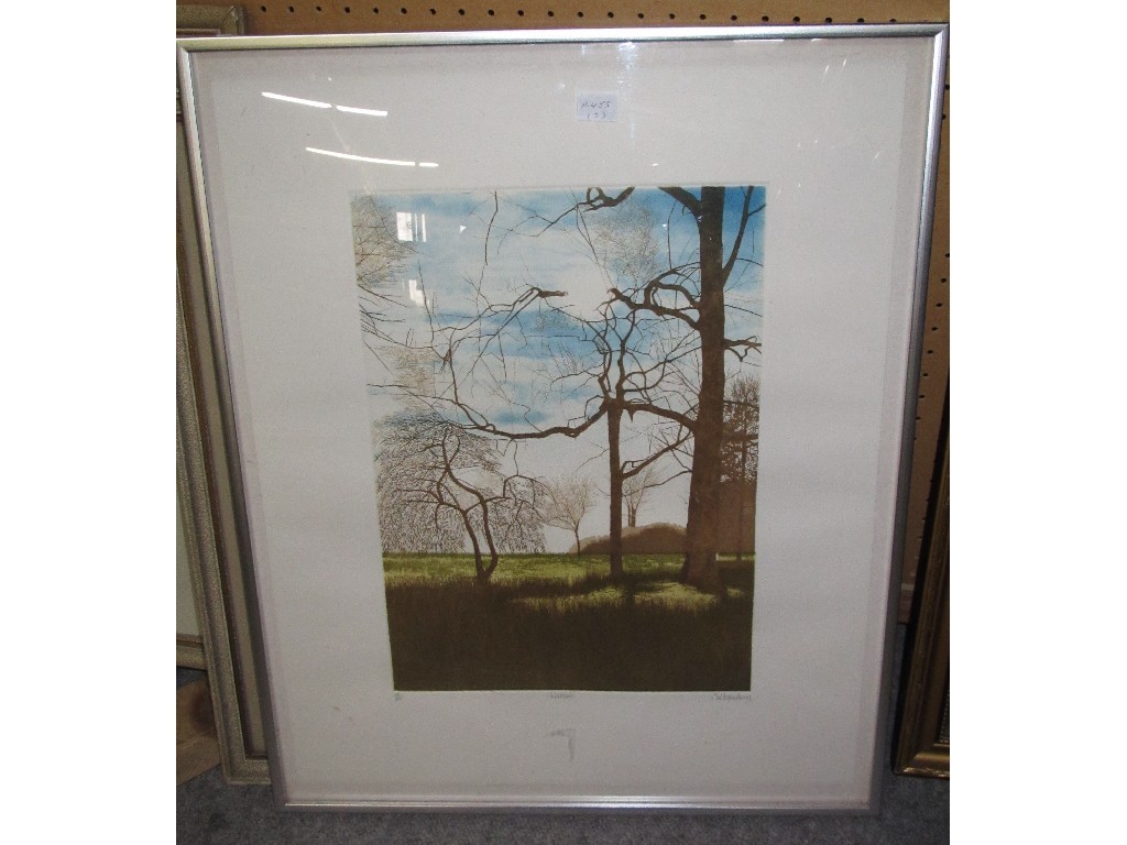 Appraisal: CHRISTOPHER PERRY Aquatint 'Woodland' signed and numbered in pencil plus