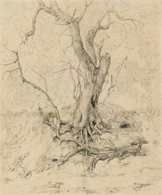 Appraisal: GERMAN th CENTYURY Tree study Pencil drawing Dated lower right