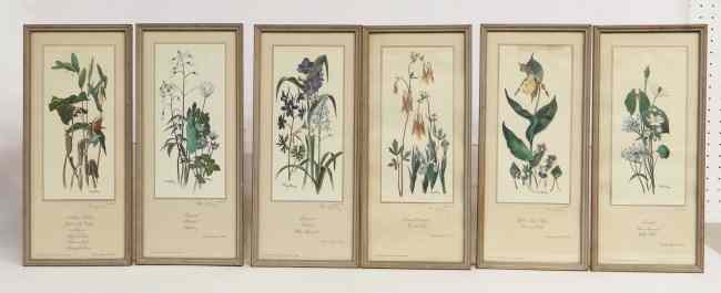 Appraisal: Set of six Ray Harm floral prints Sight '' x