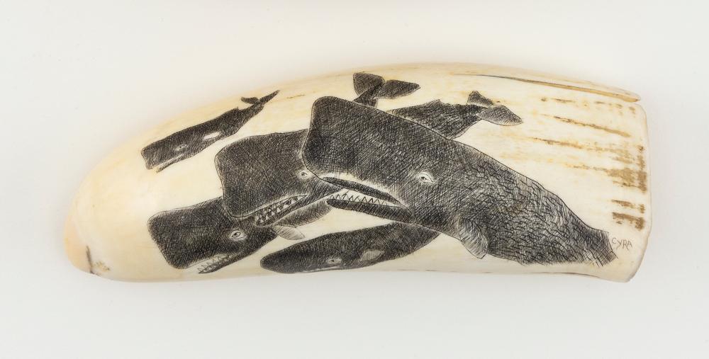 Appraisal: ENGRAVED WHALE'S TOOTH BY MIKE CYRA DEPICTING SPERM WHALES TH