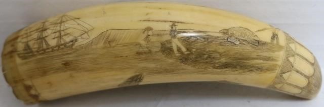 Appraisal: TH CENTURY SCRIMSHAW WHALE'S TOOTH DEPICTINGTURTLE HUNTING ON GALAPAGOS LONG