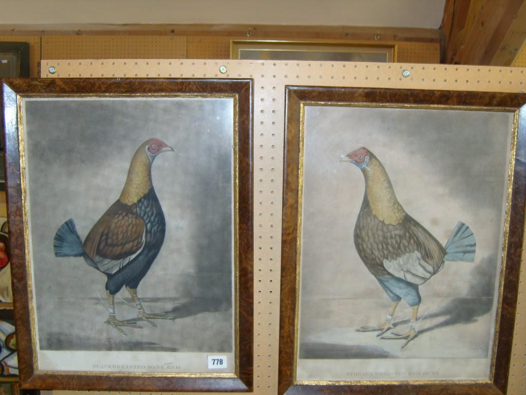 Appraisal: A pair of late th century hand coloured engravings showing