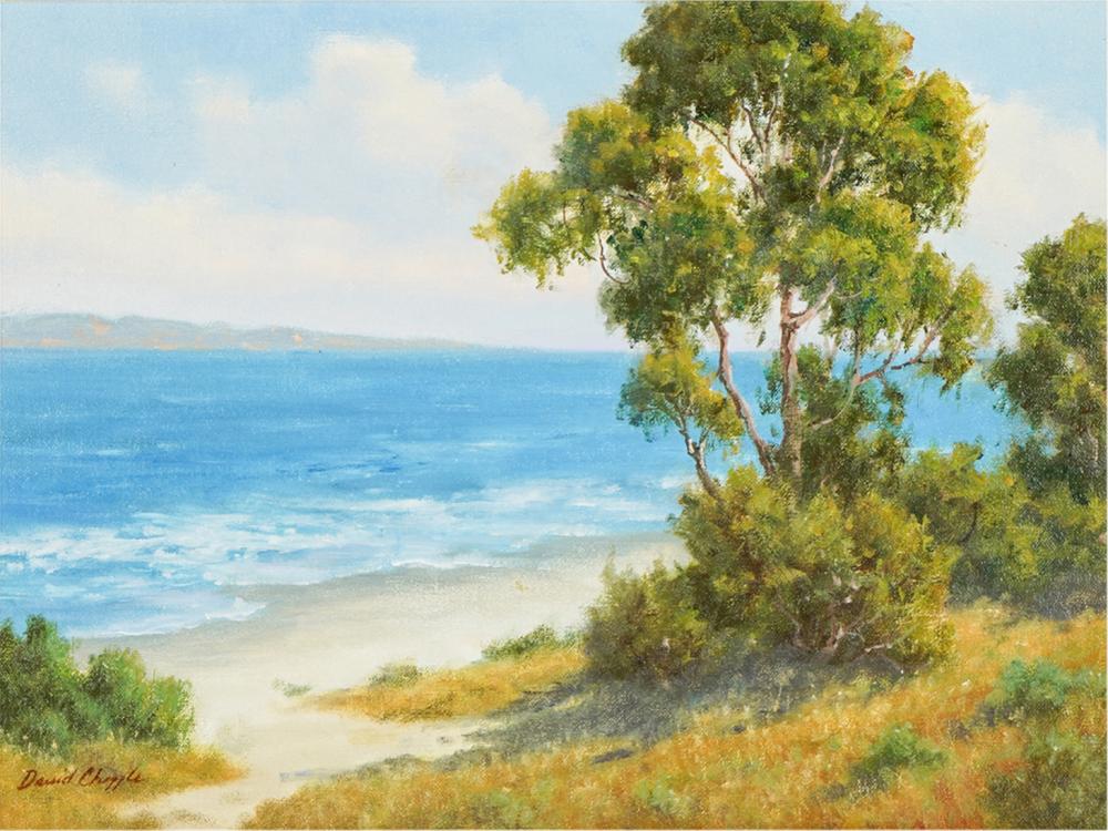 Appraisal: DAVID CHAPPLE B COASTAL VISTAoil on board signed lower left