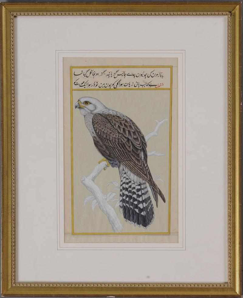 Appraisal: ISLAMIC ILLUMINATED MANUSCRIPT PAGE Showing a hawk perched on a