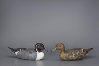 Appraisal: Pintail Pair Davison B Hawthorne b Pintail Pair Davison B