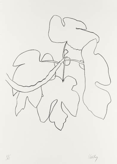 Appraisal: ELLSWORTH KELLY Fig Branch Lithograph on Rives BFK paper -