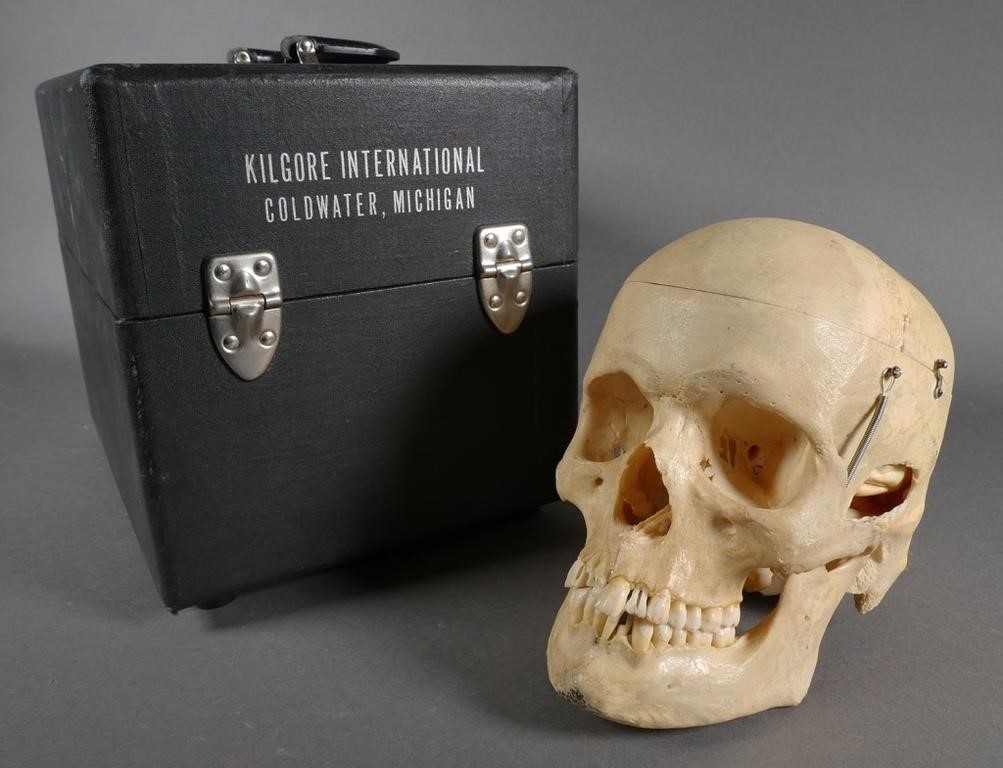 Appraisal: Authentic circa adult human skull -- not a molded model