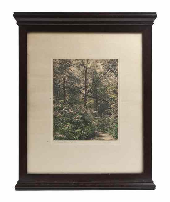 Appraisal: C D Allen th century A Pocono Forest Path black