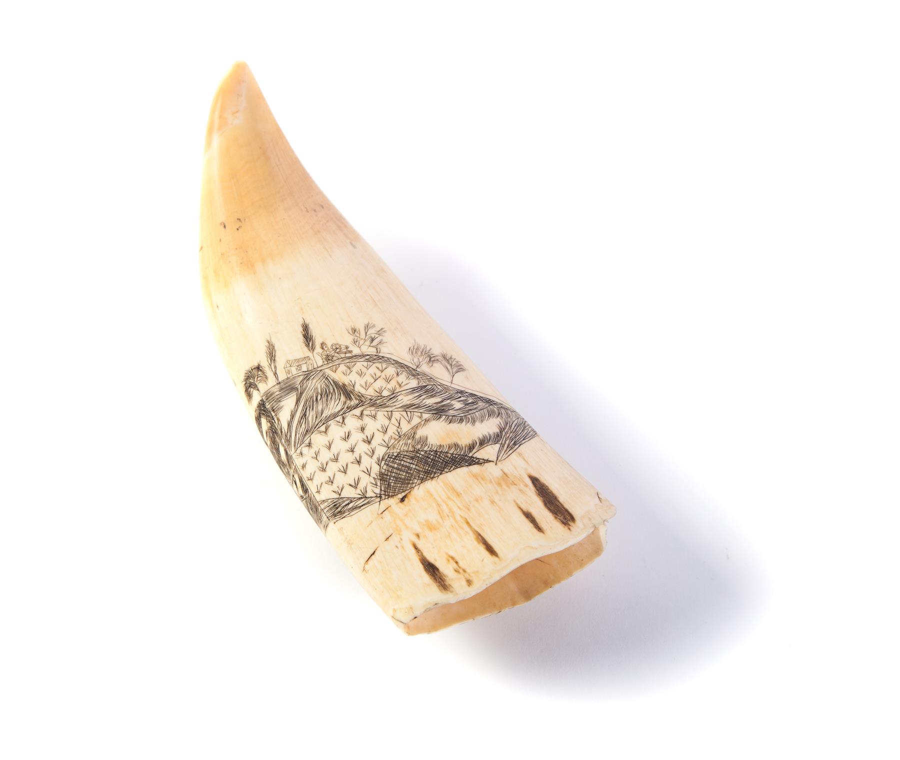 Appraisal: SCRIMSHAW WHALE TOOTH Mid th century The Return with a