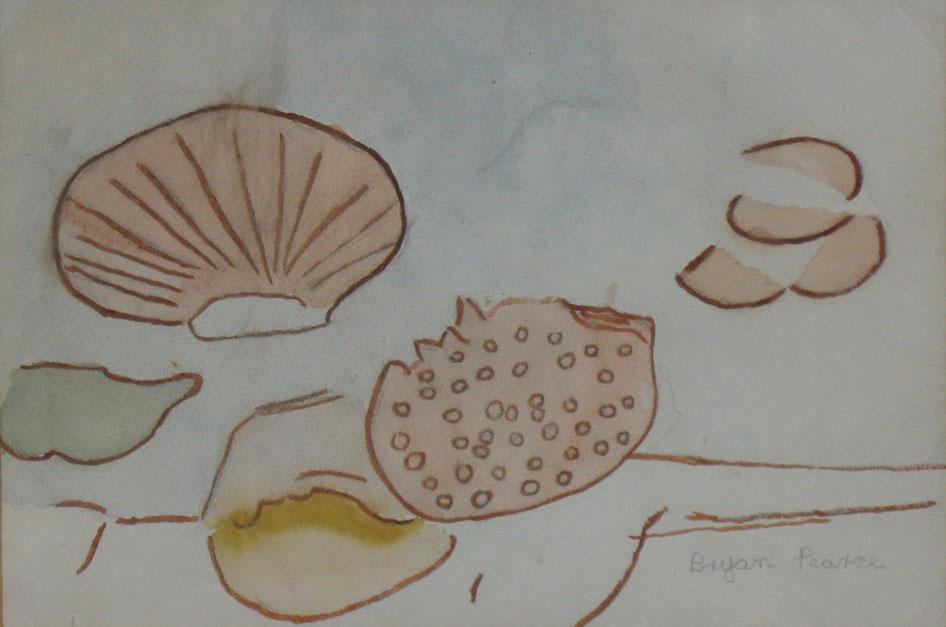 Appraisal: BRYAN PEARCE Shells watercolour signed in pencil inscribed to the