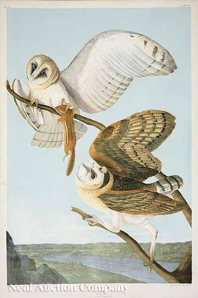 Appraisal: After John James Audubon American - Barn Owl Part No