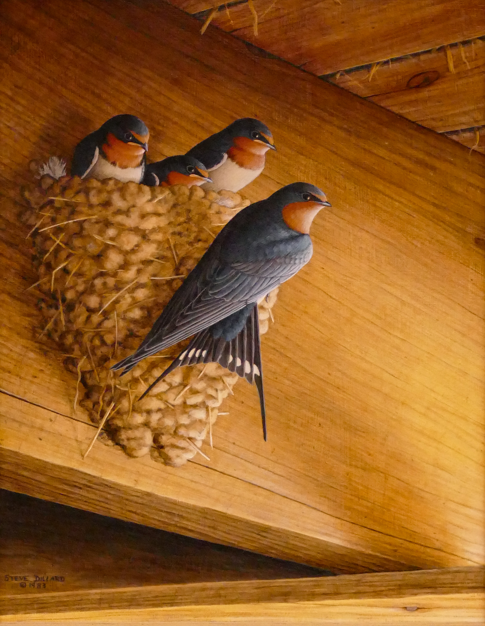 Appraisal: Steve Dillard 'Barn Swallows in Nest' Oil on Board Framed-