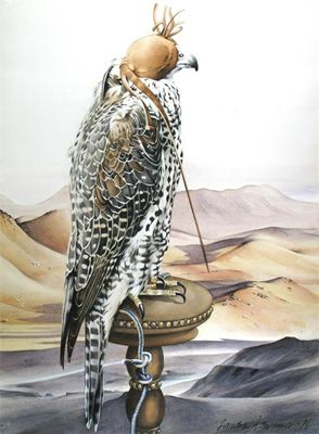 Appraisal: Sandra Lawrence th Century Saker falcon Signed and dated Watercolour