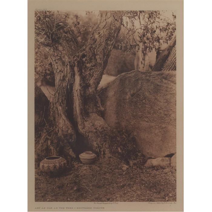 Appraisal: Edward Curtis photogravure Art as Old as the Tree -