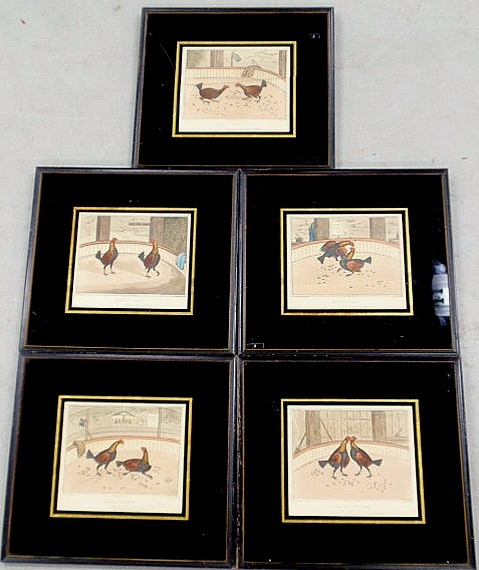 Appraisal: Five framed cock bird prints published by W C Lee