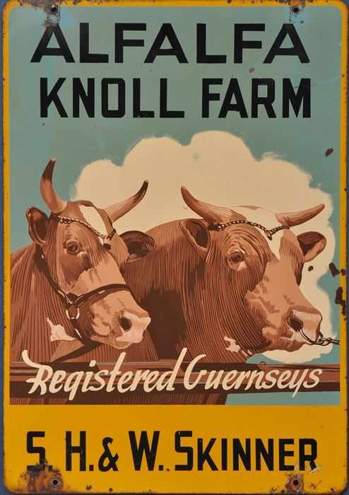 Appraisal: LITHOGRAPHIC TWO-SIDED FARM SIGN ALFALFA KNOLL FARM REGISTERED GUERNSEYS S