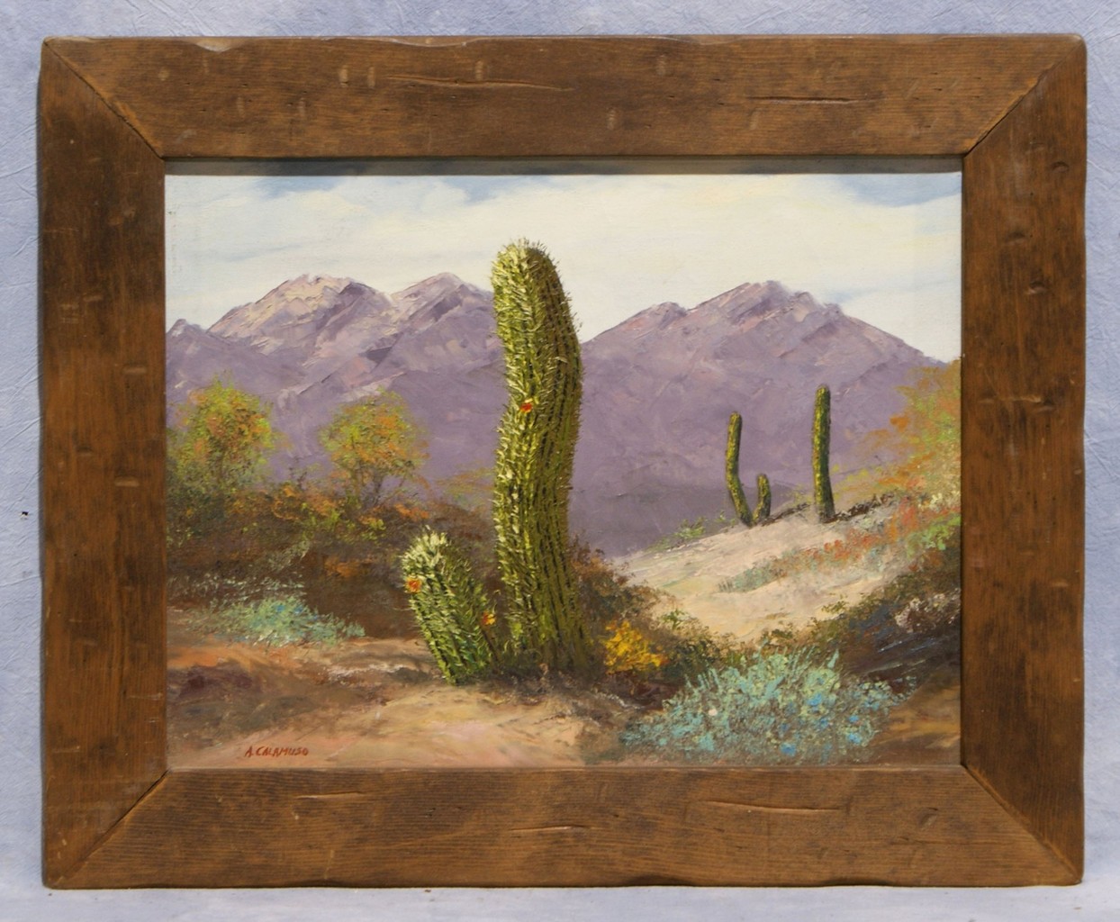 Appraisal: A Calamuso American th c o c Cactus in a