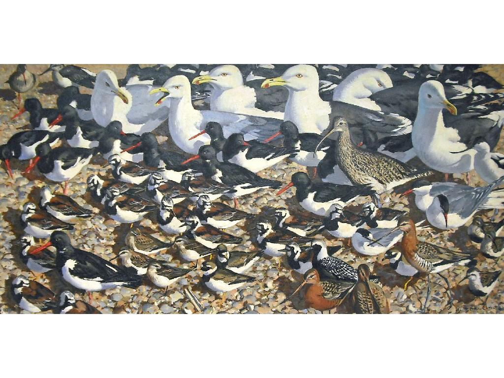 Appraisal: By Keith Shackleton - 'High Tide Sea Birds Resting on