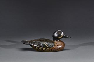 Appraisal: Blue-Winged Teal DrakeCharles Hart - Gloucester MA c A refined