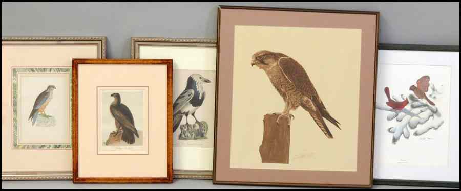 Appraisal: GROUP OF FIVE FRAMED ORNITHOLOGICAL PRINTS Various sizes artists and