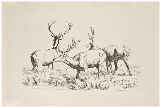 Appraisal: HILLS Robert Etchings of Red Deer - - etchings on