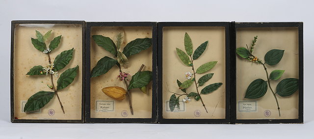 Appraisal: A GROUP OF FOUR GLAZED DISPLAY CASES containing coloured silk