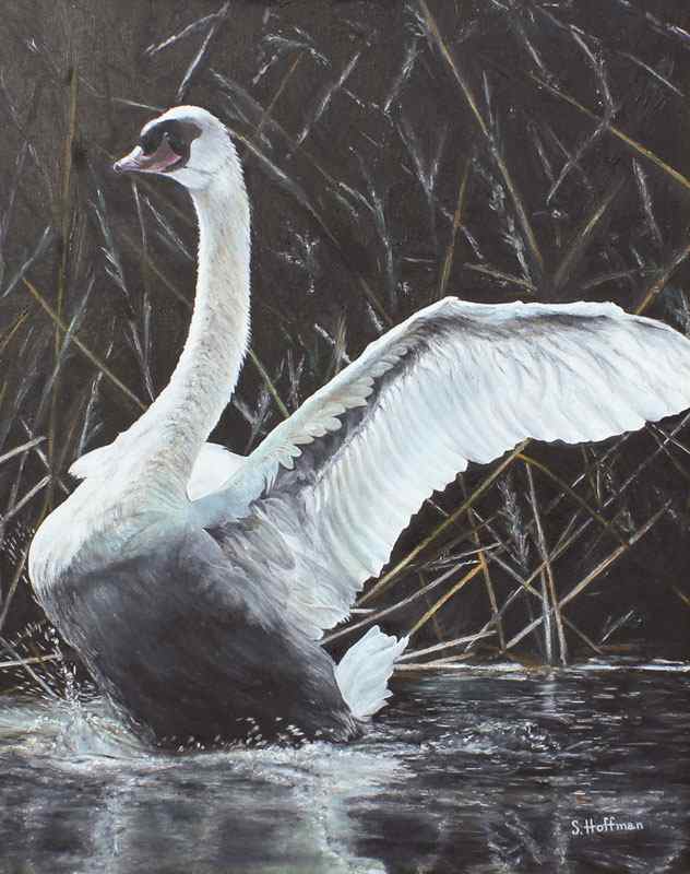 Appraisal: HOFFMAN Shirley American th C Swan Oil Canvas '' x