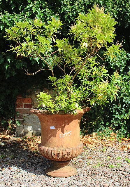 Appraisal: A TERRACOTTA GARDEN URN of campagna form cm high another