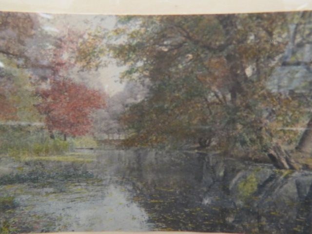 Appraisal: Wallace Nutting Print Water Maples nice colorful landscape image area