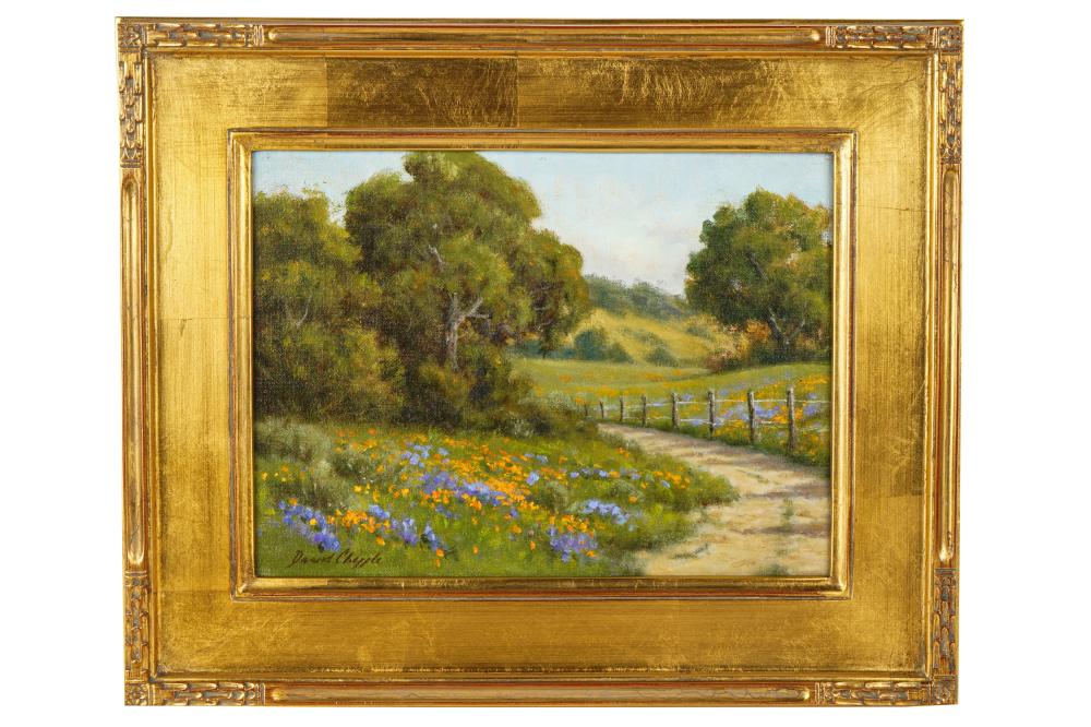 Appraisal: DAVID CHAPPLE B SPRING RAINS oil on board signed lower