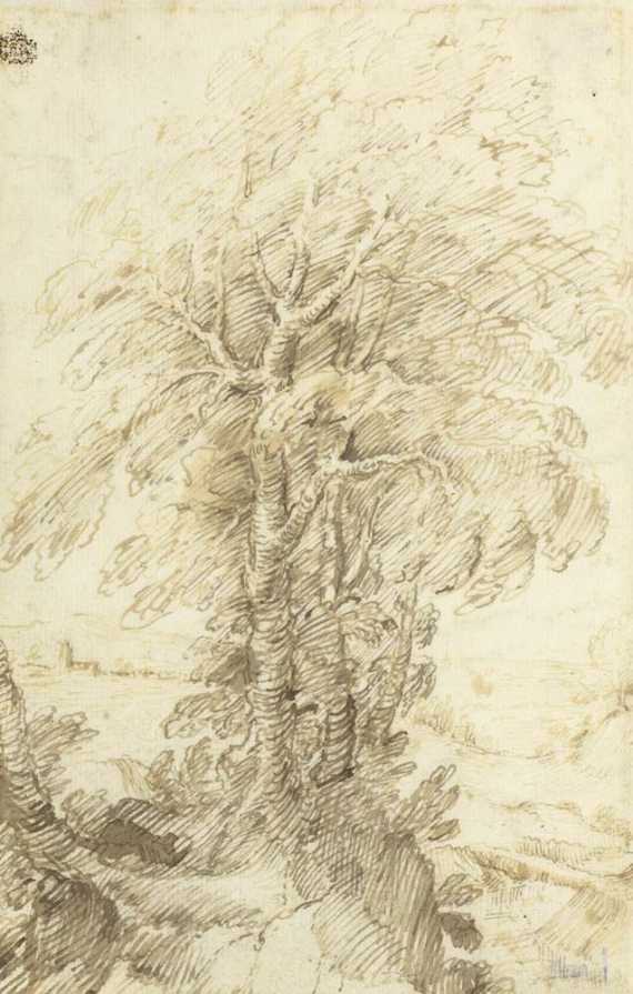 Appraisal: ITALIAN TH CENTURY Tree study Brown pen x cm Provenance