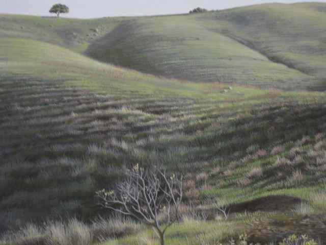 Appraisal: Andrew Denman ''Foothills'' Acrylicon masonite '' x '' well listed