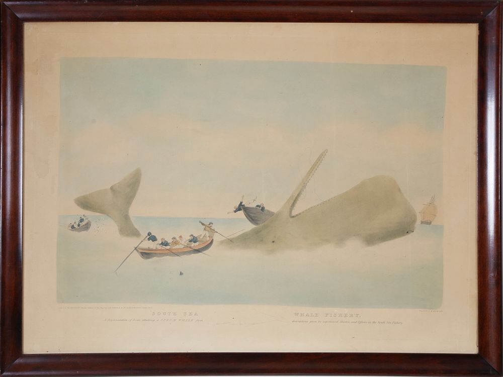 Appraisal: South Sea Whale Fishery Engraved by E Duncan Painted by