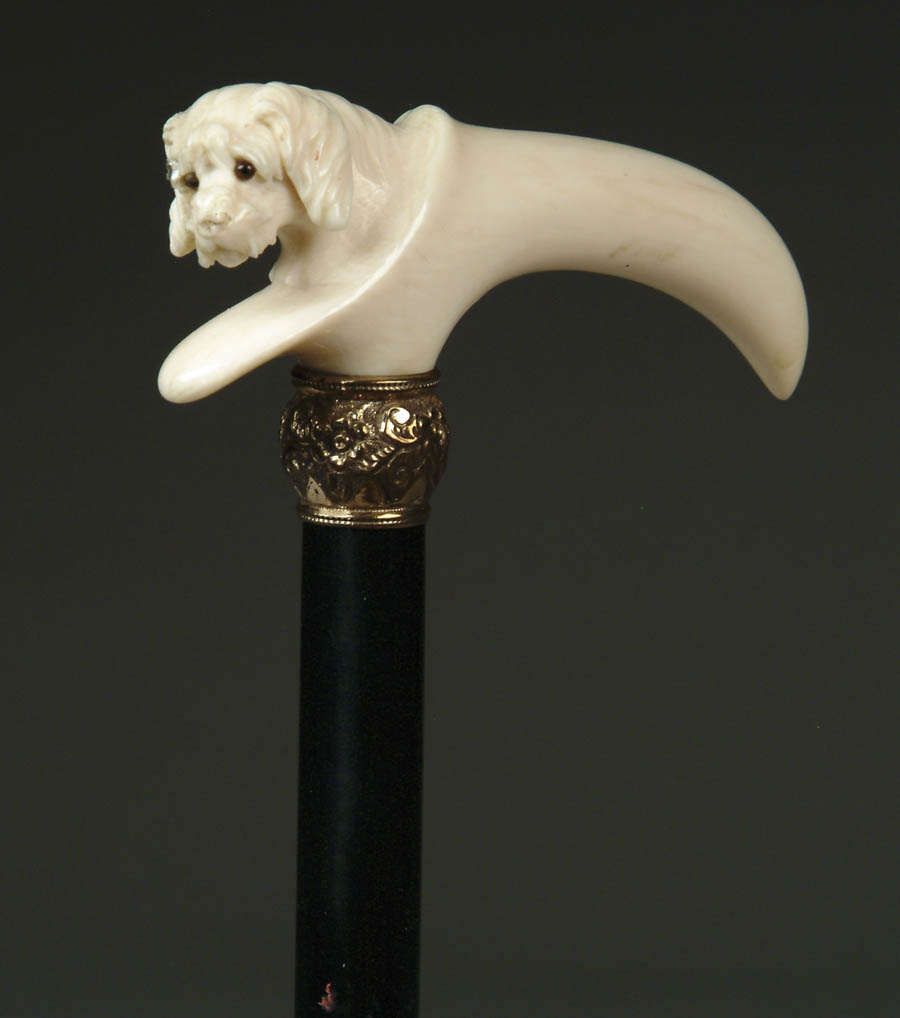 Appraisal: CARVED IVORY DOG CANE Terrier type dog peaks out from