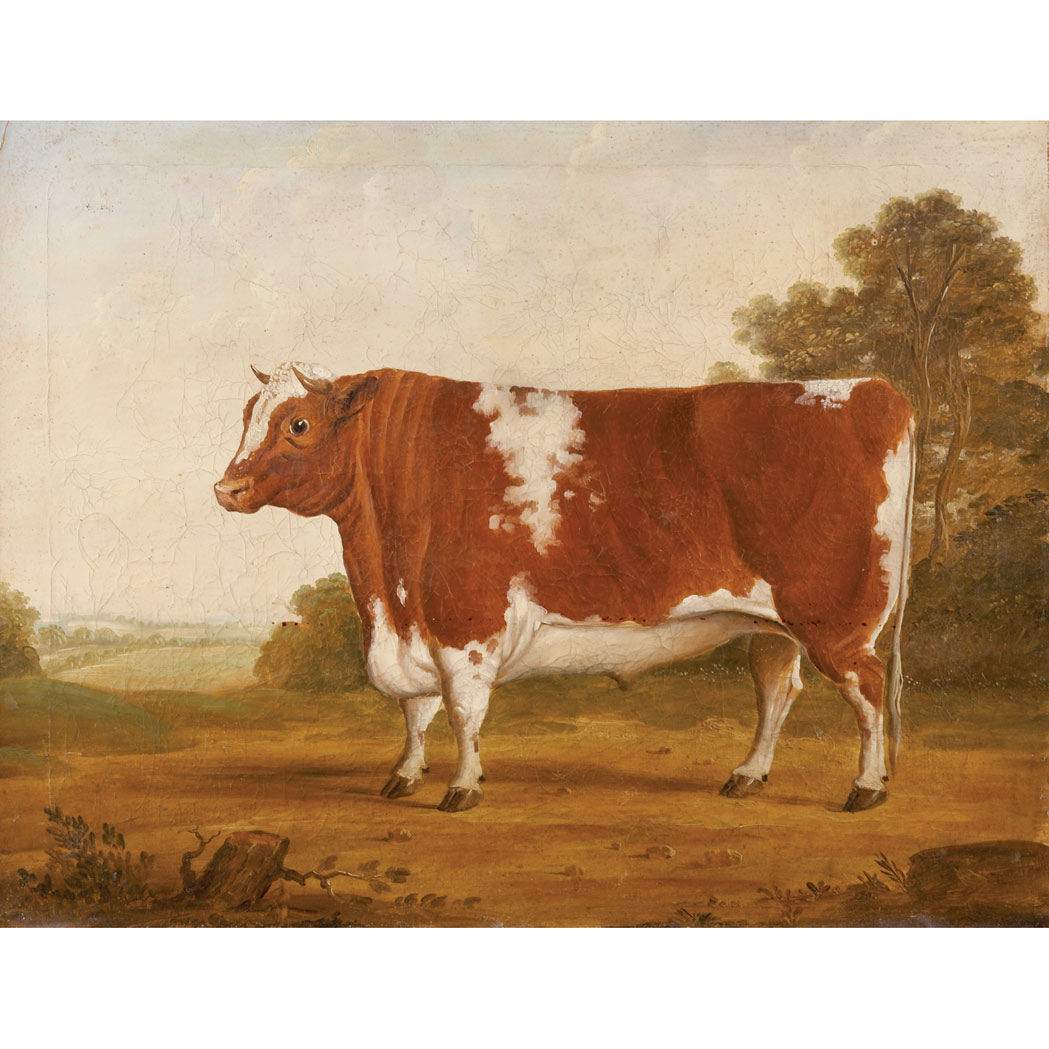 Appraisal: Circle of William Henry Davis Hereford Bull Oil on canvas