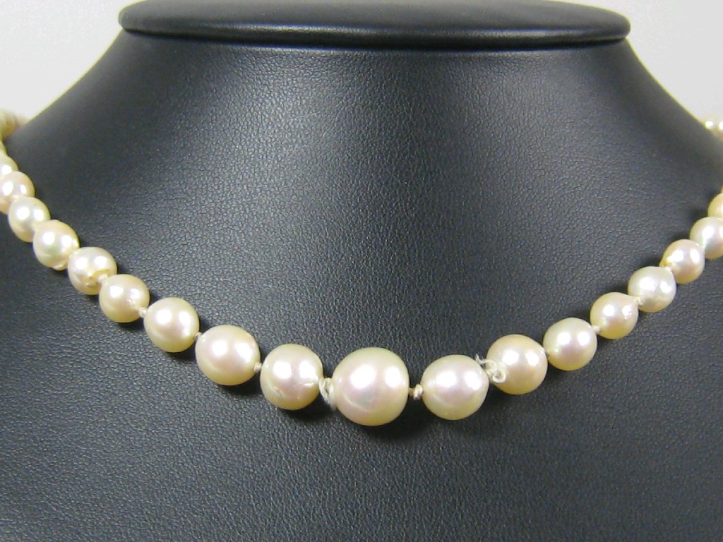 Appraisal: A single row of graduated cultured Pearls clasp stamped ks