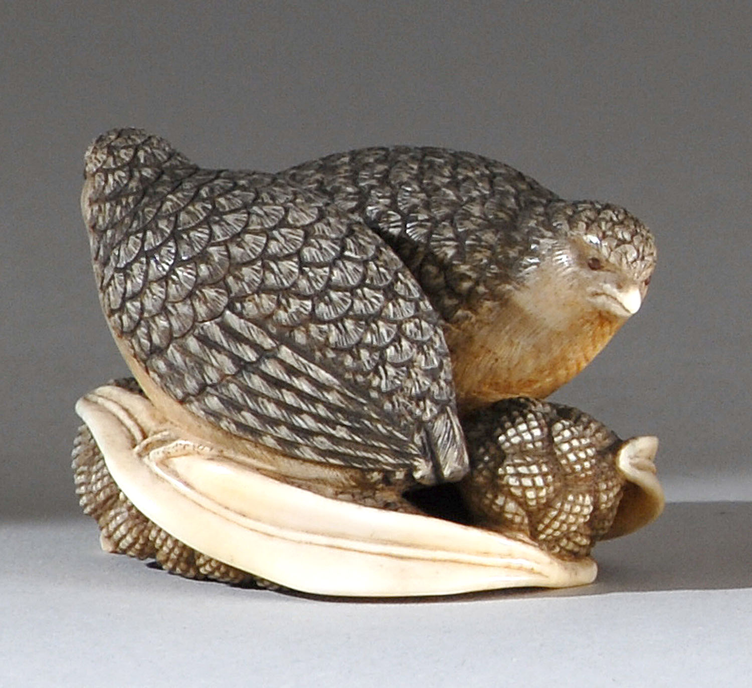 Appraisal: IVORY NETSUKE th CenturyBy Okatomo Depicting two quail resting on