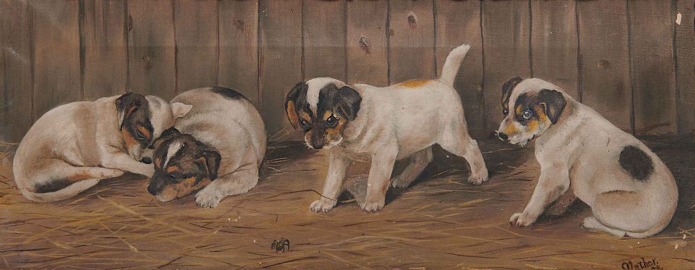 Appraisal: JOHN B MATHER Australian - Puppies with a Spider JOHN