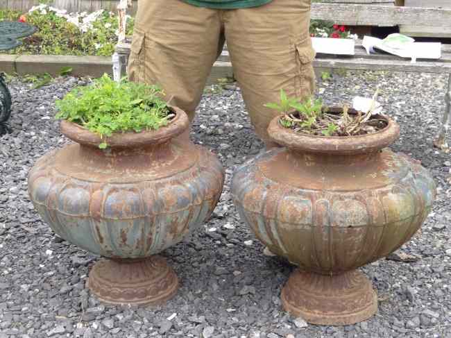 Appraisal: Pair cast iron urns '' Ht