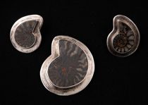 Appraisal: Fossil Earring and Pendant Set This set of sterling silver