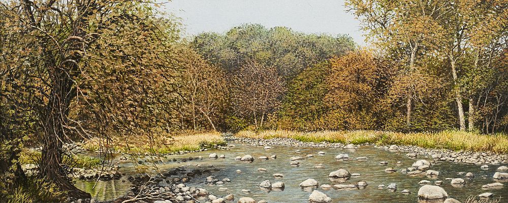 Appraisal: Richard Plasschaert Down Stream from Redwood Falls Oil on Board